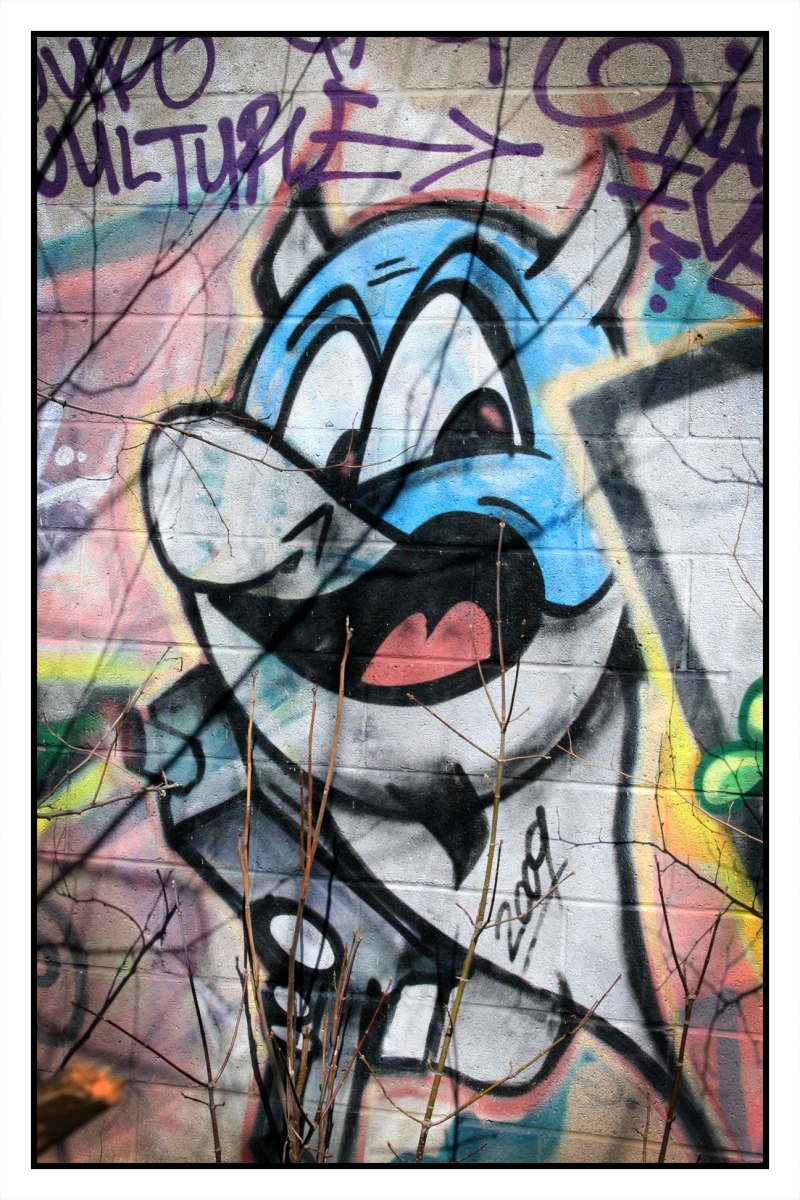 West Toronto Railpath Graffiti, Artist Unknown - 2009 (?)
